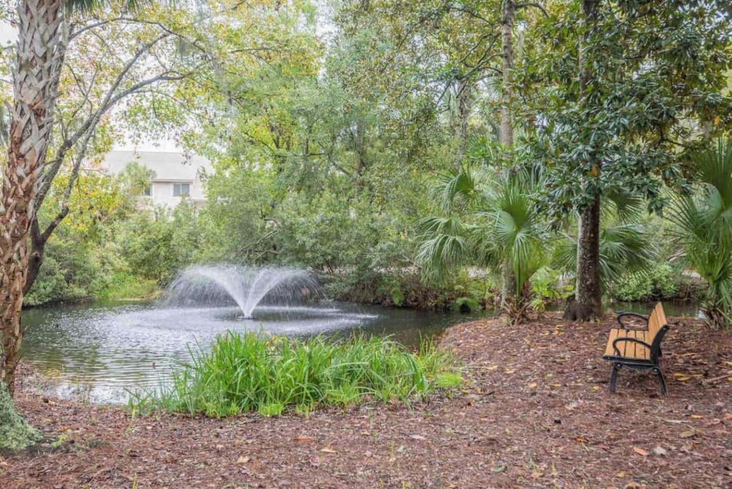 Forest Beach Condo Walk To Coligny, Pool, Tennis Hilton Head Island Esterno foto